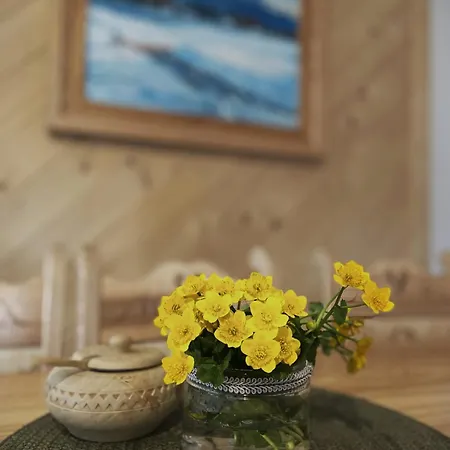 منتزه العطل Kozie Turnie